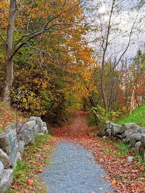 riverview brick path